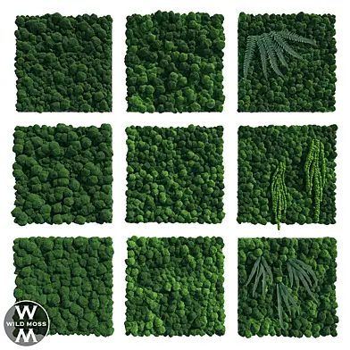 OM Модульные панели из мха WildMoss