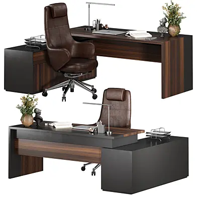 Office Furniture Manager set 22