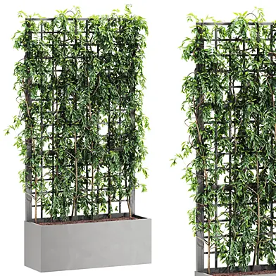 Plants set 151