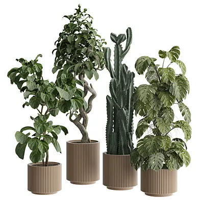indoor Plant 546