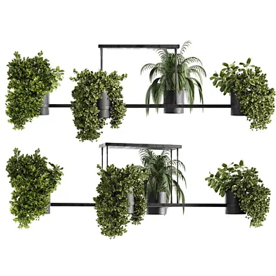 Indoorplants Hanging plants set65