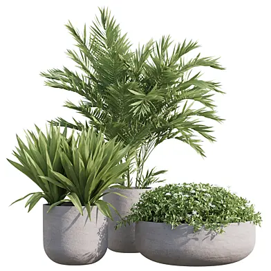 Outoor Plants Set 04