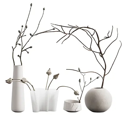 551 indoor plants 02 branches in a vases 02