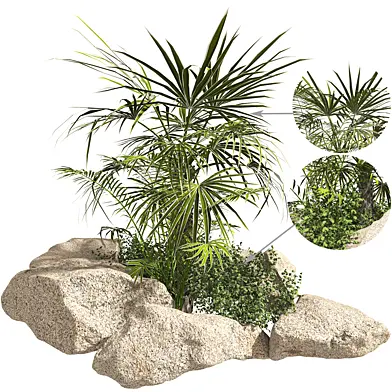 Garden Plants Rocks