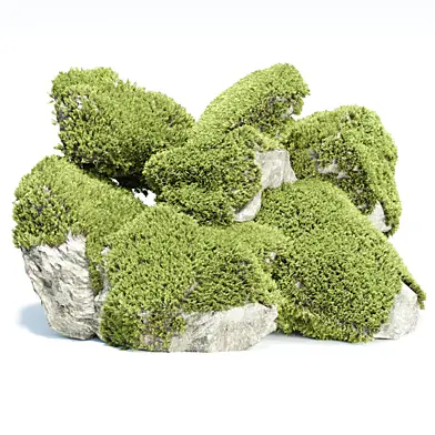 3D Mossy Rock Collection Vol 283