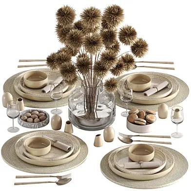tableware setting N044