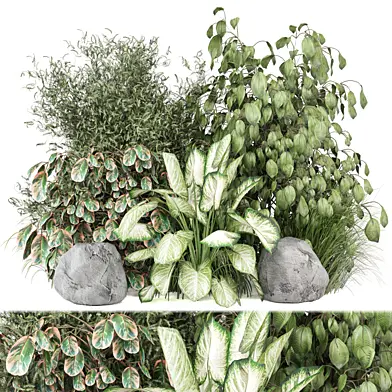 bush and tree plants 1537