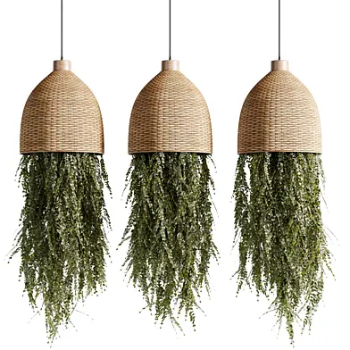 Indoorplants-Hanging plants set-81