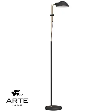 ARTE Lamp OM A7055PN-1BK