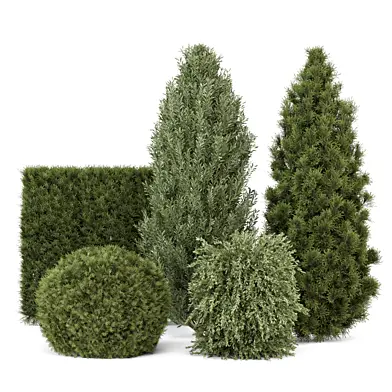 Outdoor Pine Plants Bush_Bush Set 2697