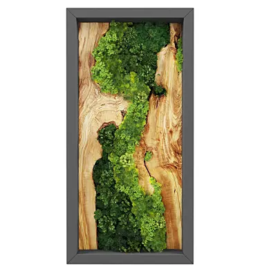 Vertical garden 248