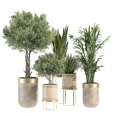 indoor-plant-9