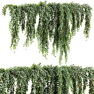 Plants Set 201