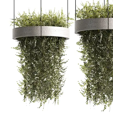 Indoorplants-Hanging plants set-89