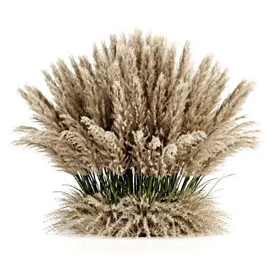 Bush Pampas Set11