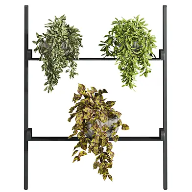 Plants Set 70