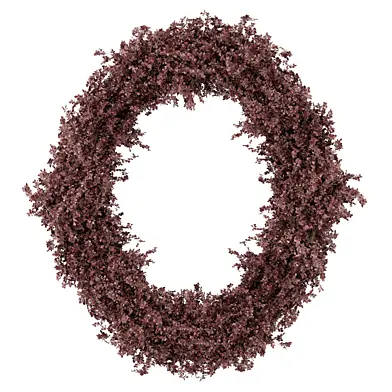 Red Plant Ring Branch_Wreath Set 2871