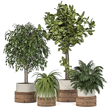 Indoor Plants Collection Set 120