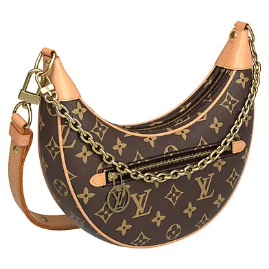 Louis Vuitton Loop Monogram Bag