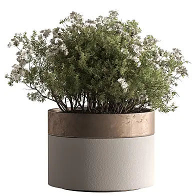 Indoor Plant 872 - Flower Bush