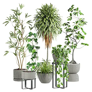 Plants Set 89