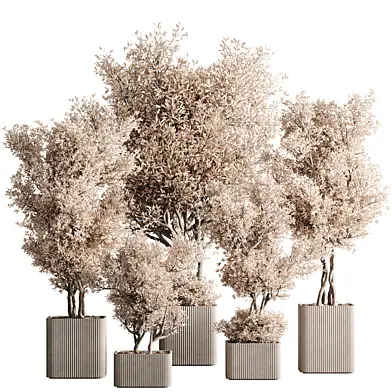 Indoor Plant Set 164 Dry Plants