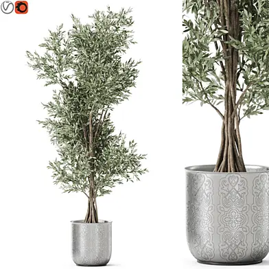 Plants collection 1190