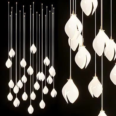 Bloom Pendant lights, lea more