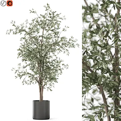 Plants collection 1192