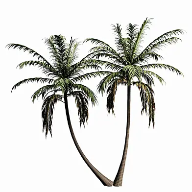 tree 01
