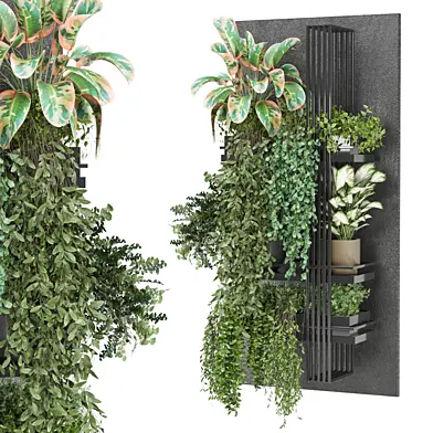 indoor hanging plants in metal shelf 1777