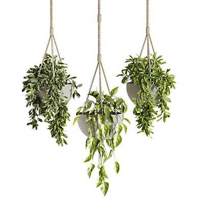Plants Set 118