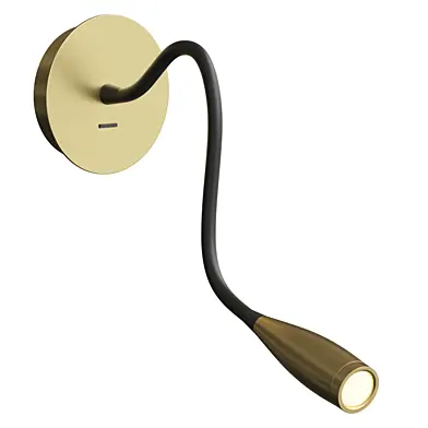 Flexi Hose Wall Light
