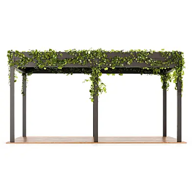 Outdoors Pergola, with ivy plants