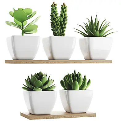 Plant Set 011