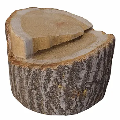 trunk 103