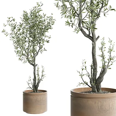 indoor Plant 628