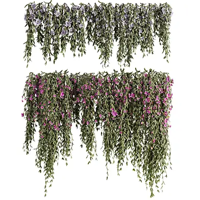 Plants Set 137