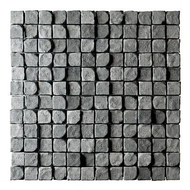 Panel n21