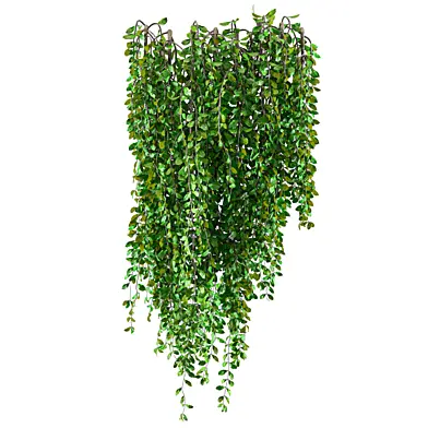Plant Set 011
