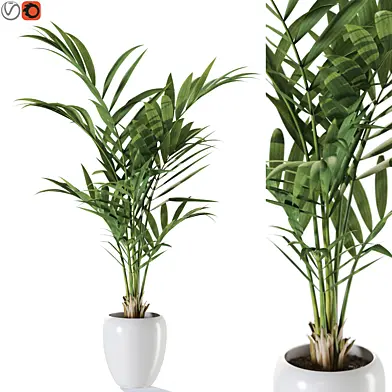 Plant 1239