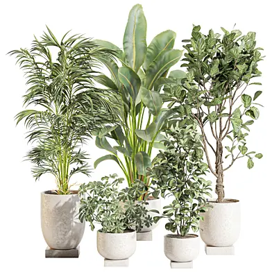 Collection Plant Set02