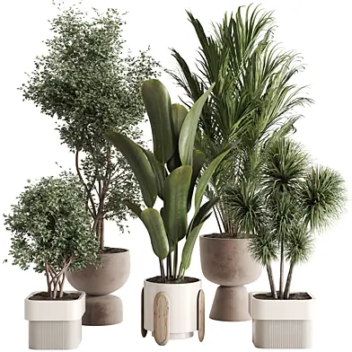 indoor plant Set 139