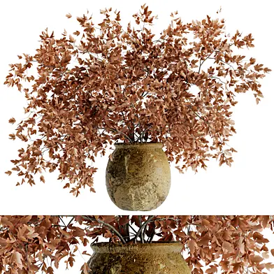 Bouquet of red maple branches in a clay pot 53