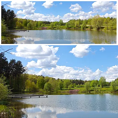 Shoreline view from the lake