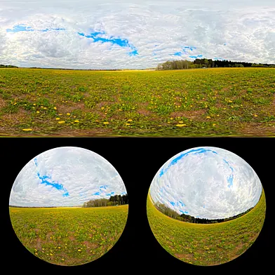 Одуванчиковое поле — HDRI панорама
