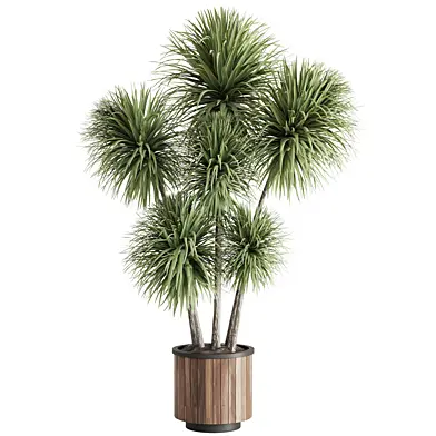 indoor plant Set 140