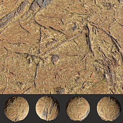 Forest floor dry leaves vol01