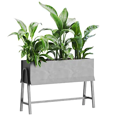 Plants Set 219