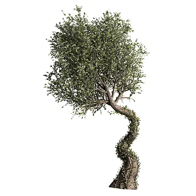 Tree 002